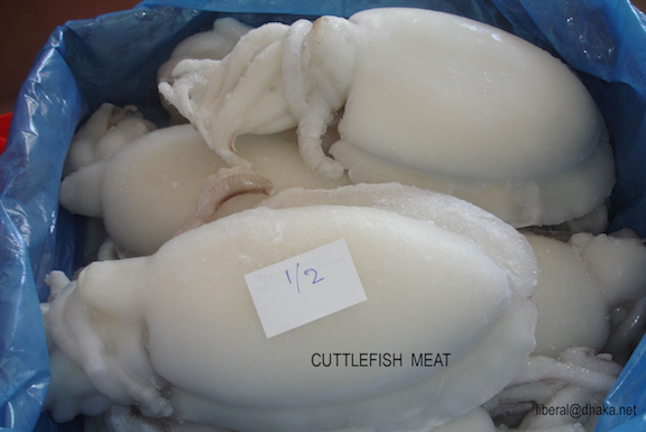 CUTTLEFISH MEAT